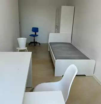 Foto annuncio 6