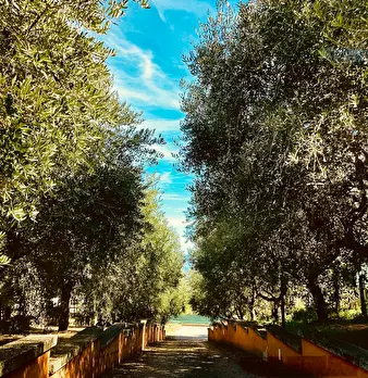 Foto annuncio 3
