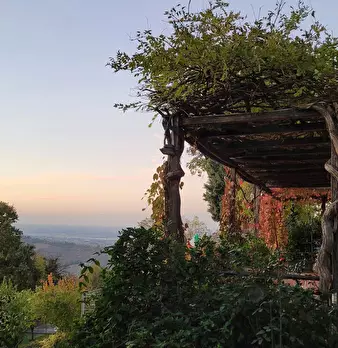 Foto annuncio 8