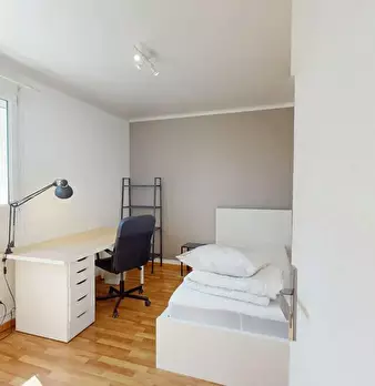 Foto annuncio 5