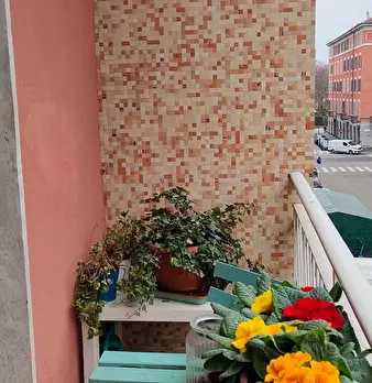 Foto annuncio 7