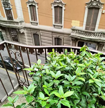 Foto annuncio 8