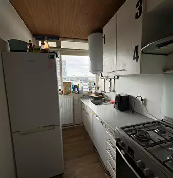 Foto annuncio 8
