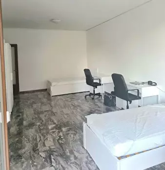 Foto annuncio 7