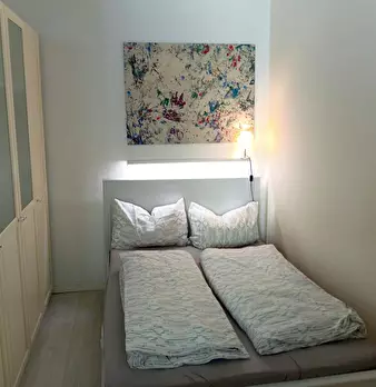 Foto annuncio 8
