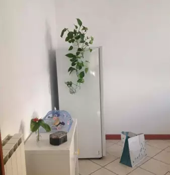 Foto annuncio 4