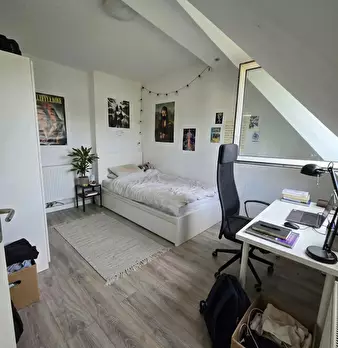 Foto annuncio 1