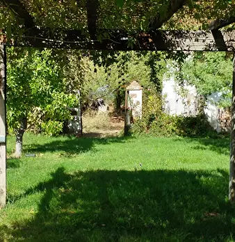 Foto annuncio 8