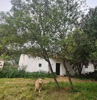 Foto annuncio 6