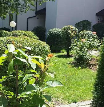 Foto annuncio 10