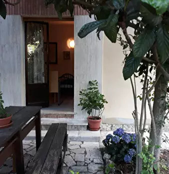 Foto annuncio 6