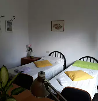 Foto annuncio 1