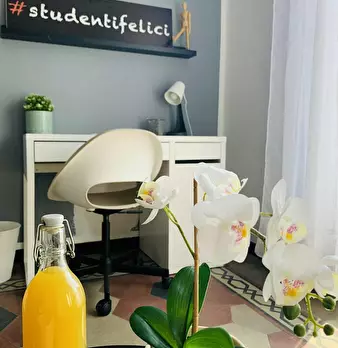 Foto annuncio 5