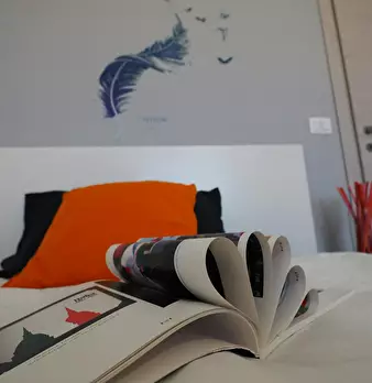 Foto annuncio 4