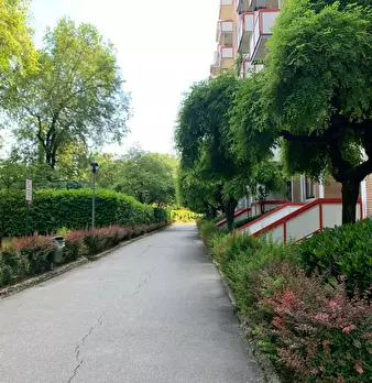 Foto annuncio 10