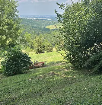 Foto annuncio 7