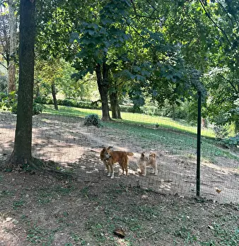 Foto annuncio 8