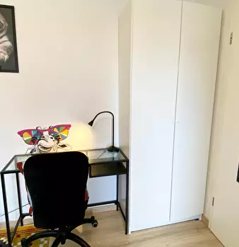 Foto annuncio 5