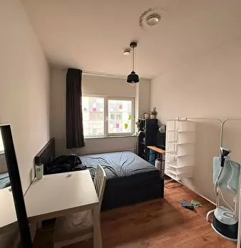Foto annuncio 8