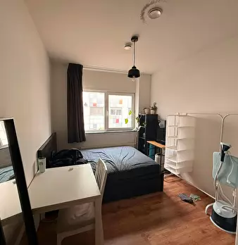 Foto annuncio 6