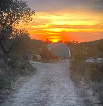 Foto annuncio 1