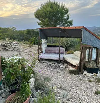 Foto annuncio 5
