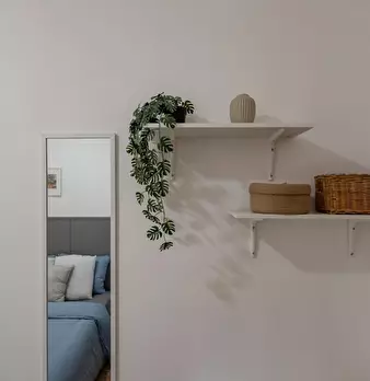 Foto annuncio 6