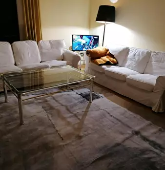 Foto annuncio 1