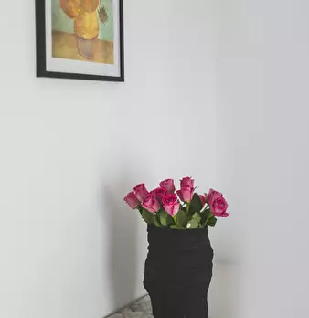Foto annuncio 10
