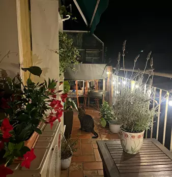 Foto annuncio 9