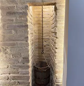 Foto annuncio 9