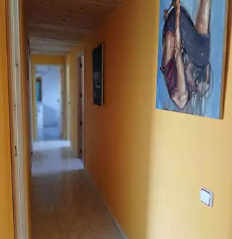 Foto annuncio 8