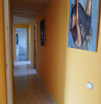 Foto annuncio 8