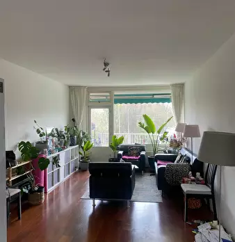 Foto annuncio 1