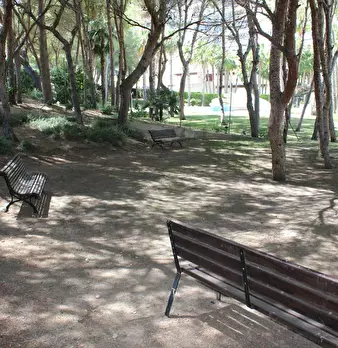 Foto annuncio 5