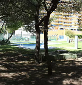 Foto annuncio 6