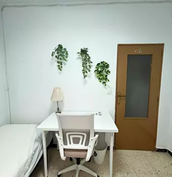 Foto annuncio 4