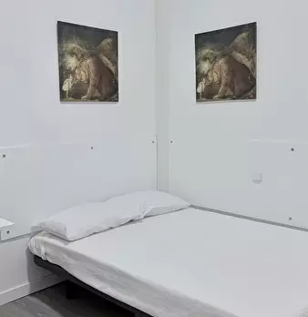 Foto annuncio 10