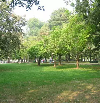 Foto annuncio 6
