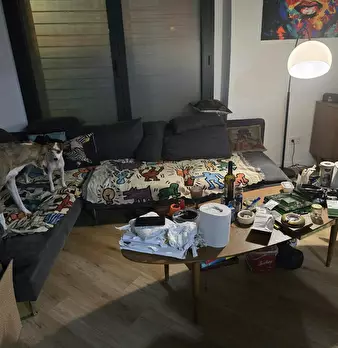 Foto annuncio 9