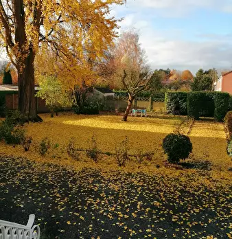 Foto annuncio 10