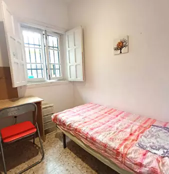 Foto annuncio 10