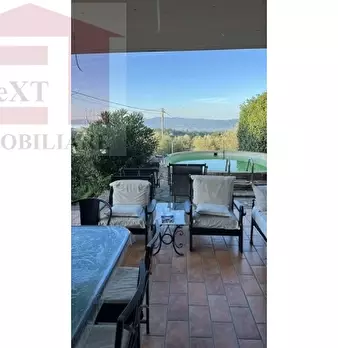Foto annuncio 14