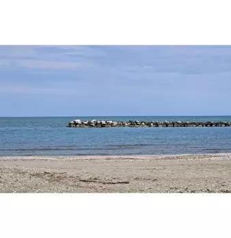 Foto annuncio 4
