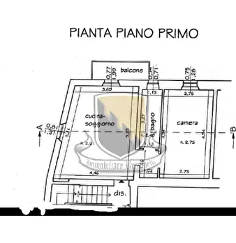 Foto annuncio 9