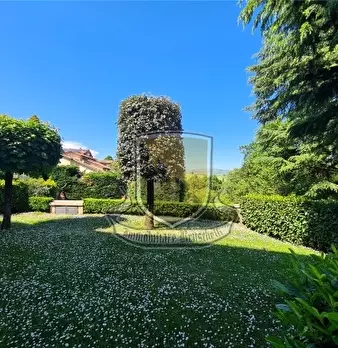 Foto annuncio 57