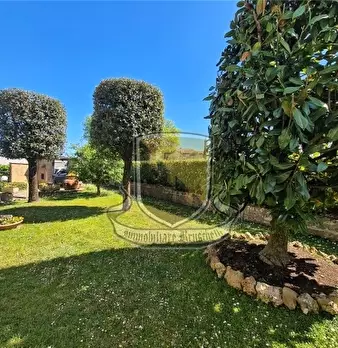 Foto annuncio 59
