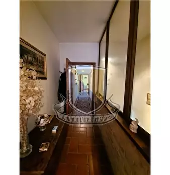 Foto annuncio 24