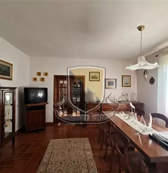 Foto annuncio 30