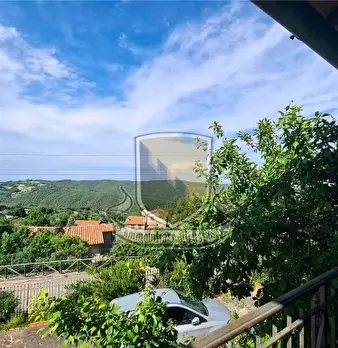 Foto annuncio 46